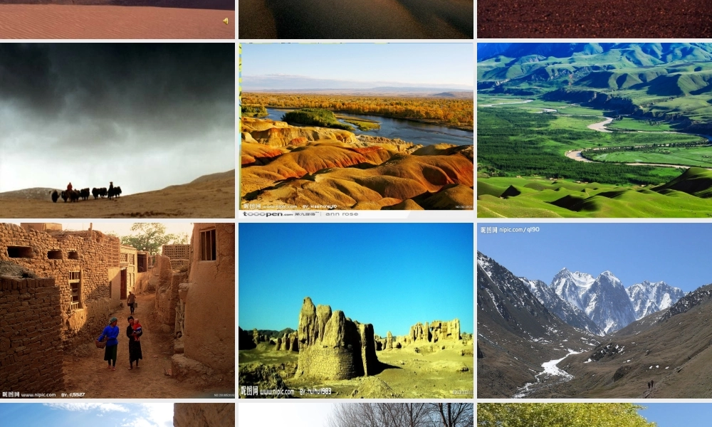 五年级下册白杨