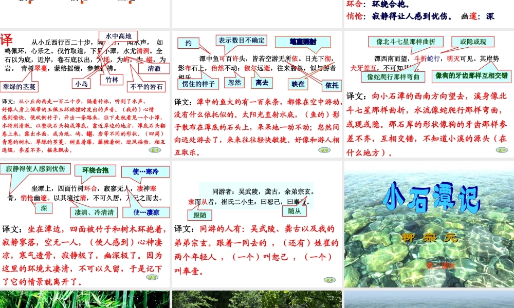 小石潭记 (4)