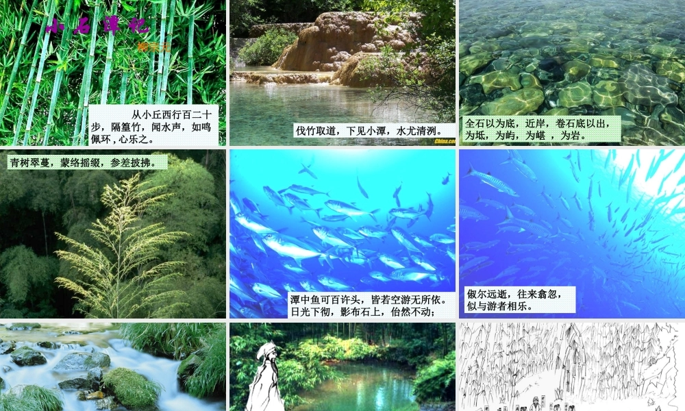 小石潭记 (4)