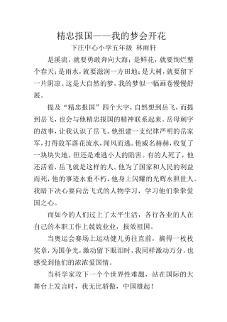 精忠报国——我的梦会开花