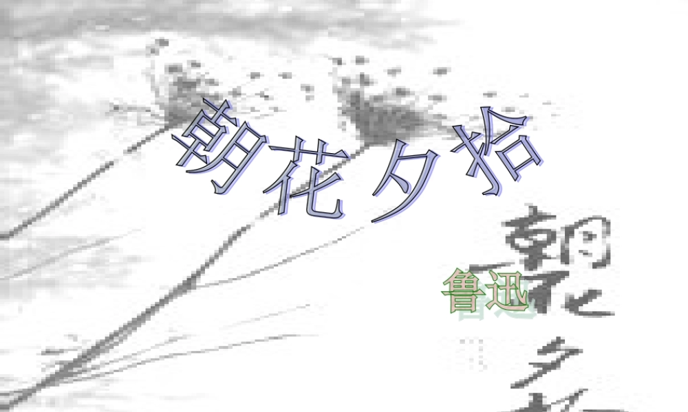 人教版_八上__《朝花夕拾》