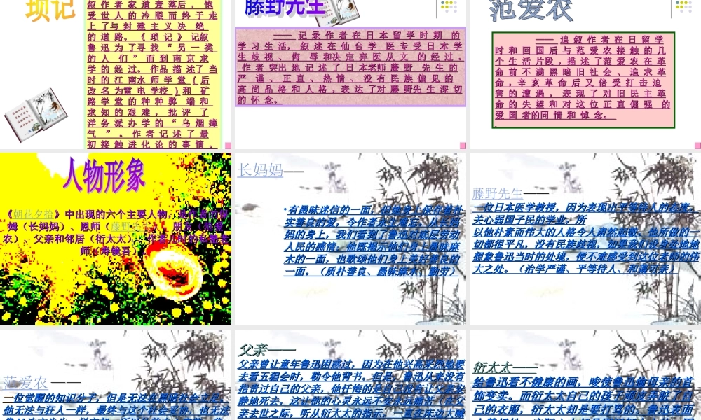 人教版_八上__《朝花夕拾》