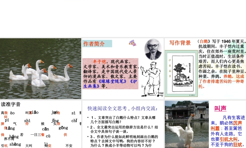 白鹅课件修改