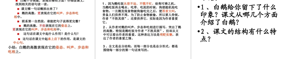 白鹅课件修改