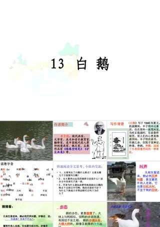 白鹅课件修改