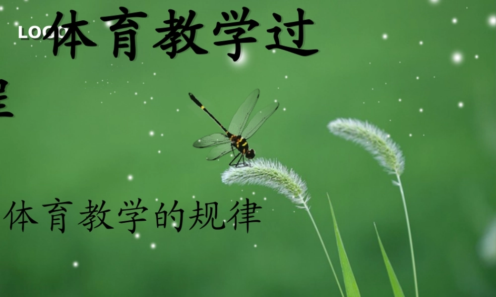 体育教学课件__体育教学过程