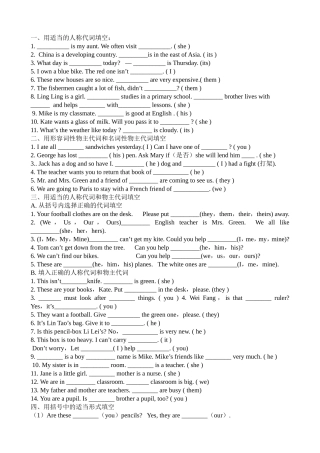 人称代词与物主代词文档(2)