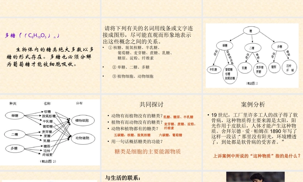 【生物】24细胞中的糖类和脂质课件2（人教版必修1）