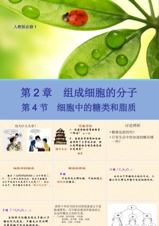 【生物】24细胞中的糖类和脂质课件2（人教版必修1）