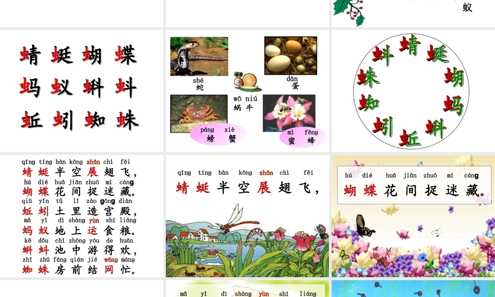 《识字4》课件1