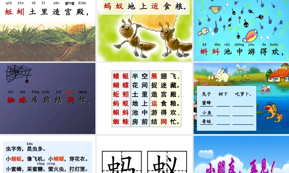 《识字4》课件1