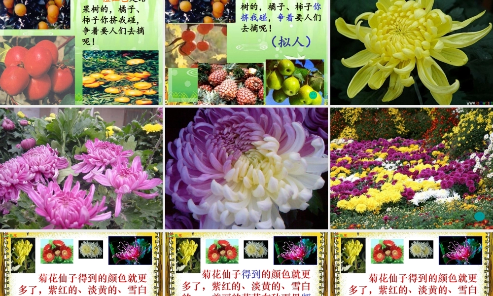 秋天的雨第二课时李杰