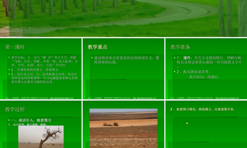 小学语文-白杨课件