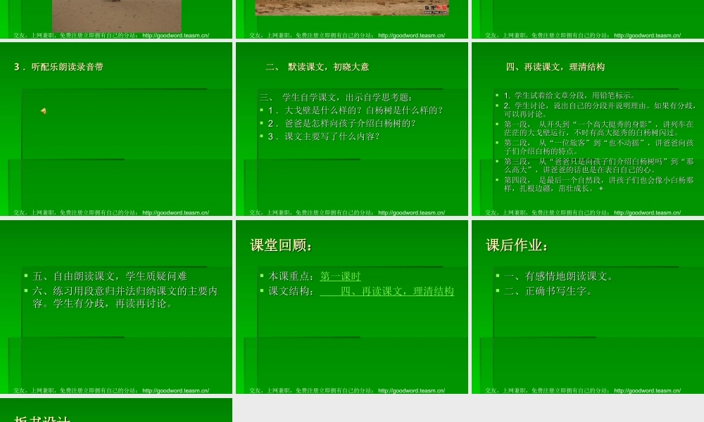 小学语文-白杨课件