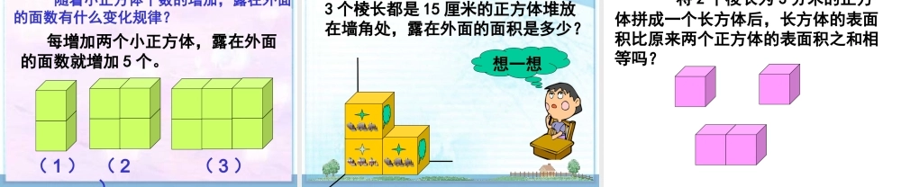 《露在外面的面》教学课件6