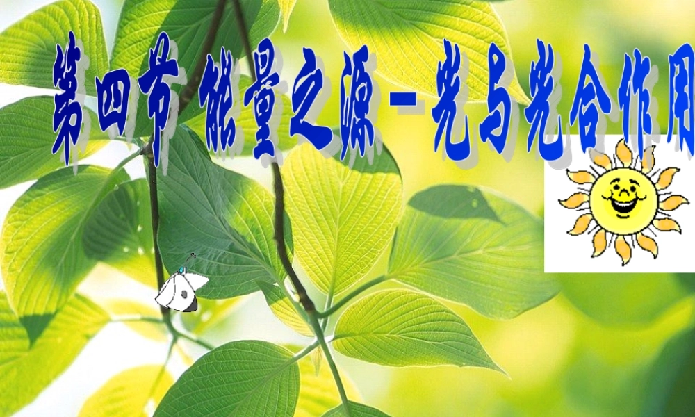 高一生物（人教版）必修一：5-4能量之源——光与光合作用课件