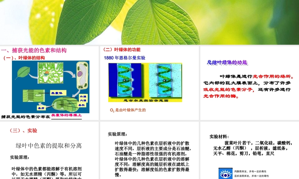 高一生物（人教版）必修一：5-4能量之源——光与光合作用课件