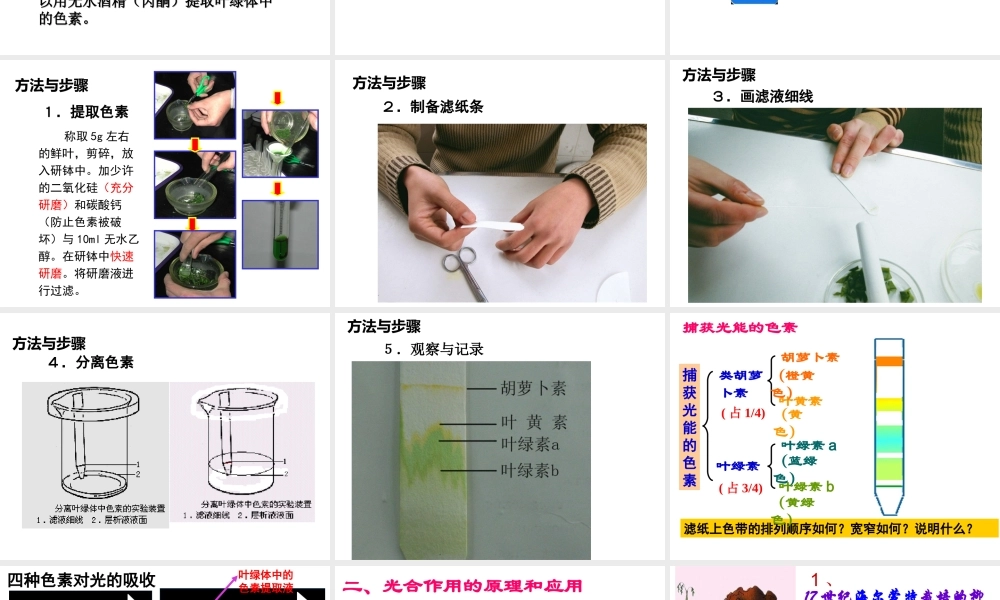 高一生物（人教版）必修一：5-4能量之源——光与光合作用课件