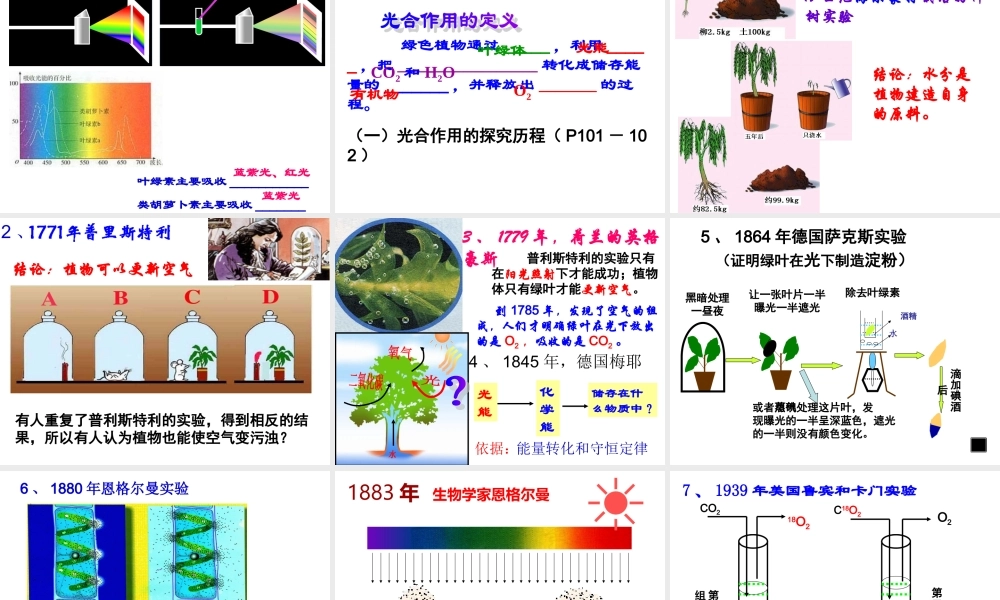高一生物（人教版）必修一：5-4能量之源——光与光合作用课件