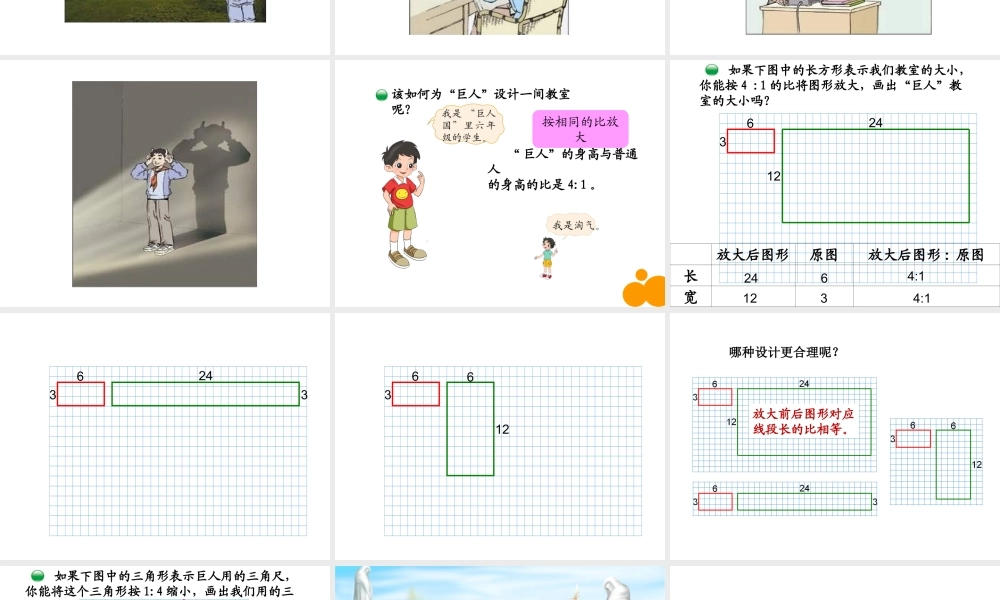 北师大版数学第十二册《图形的放大与缩小》课件