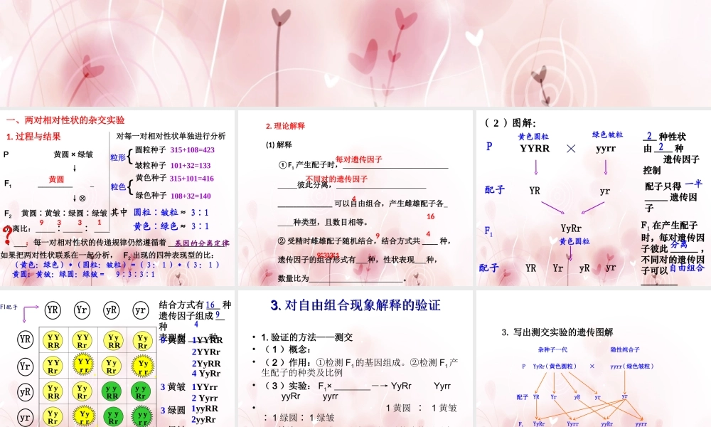 孟德尔的豌豆杂交实验二届一轮复习课件