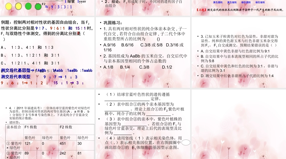 孟德尔的豌豆杂交实验二届一轮复习课件