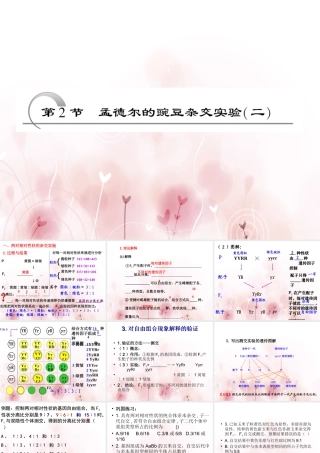 孟德尔的豌豆杂交实验二届一轮复习课件
