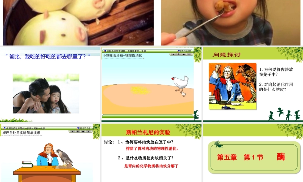 上课最终版课件：酶