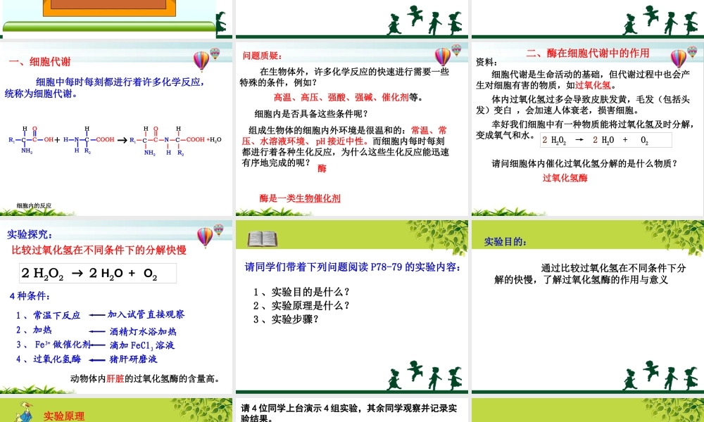 上课最终版课件：酶