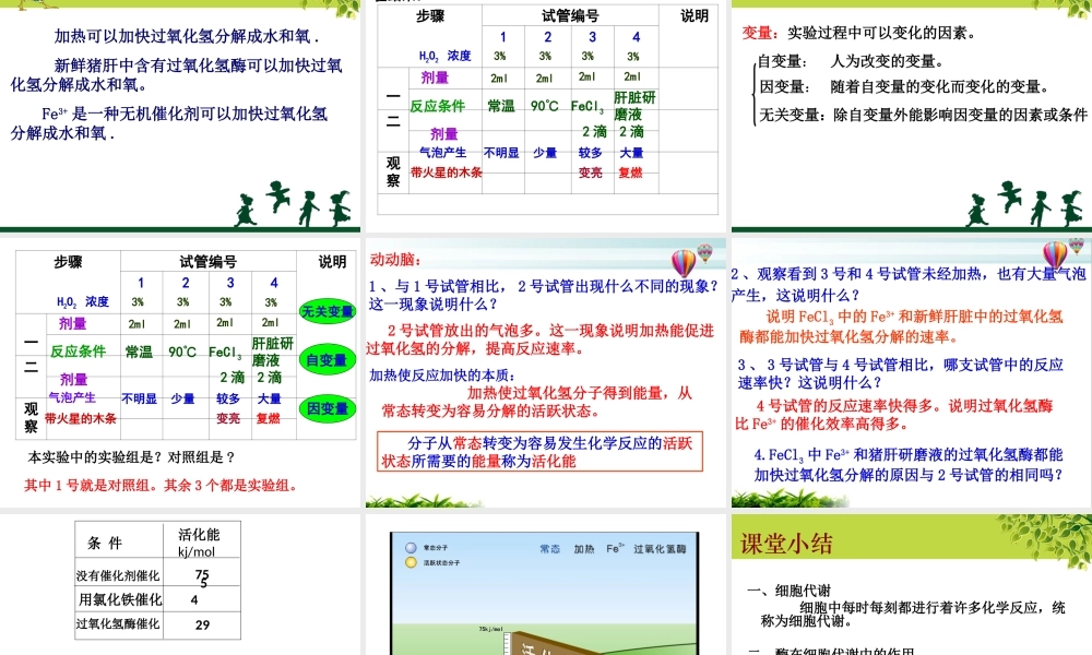 上课最终版课件：酶