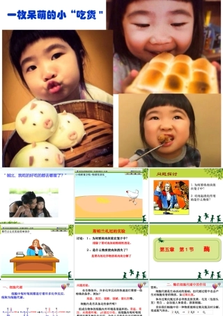 上课最终版课件：酶