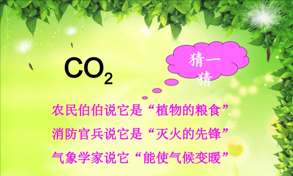 2014二氧化碳制取的研究