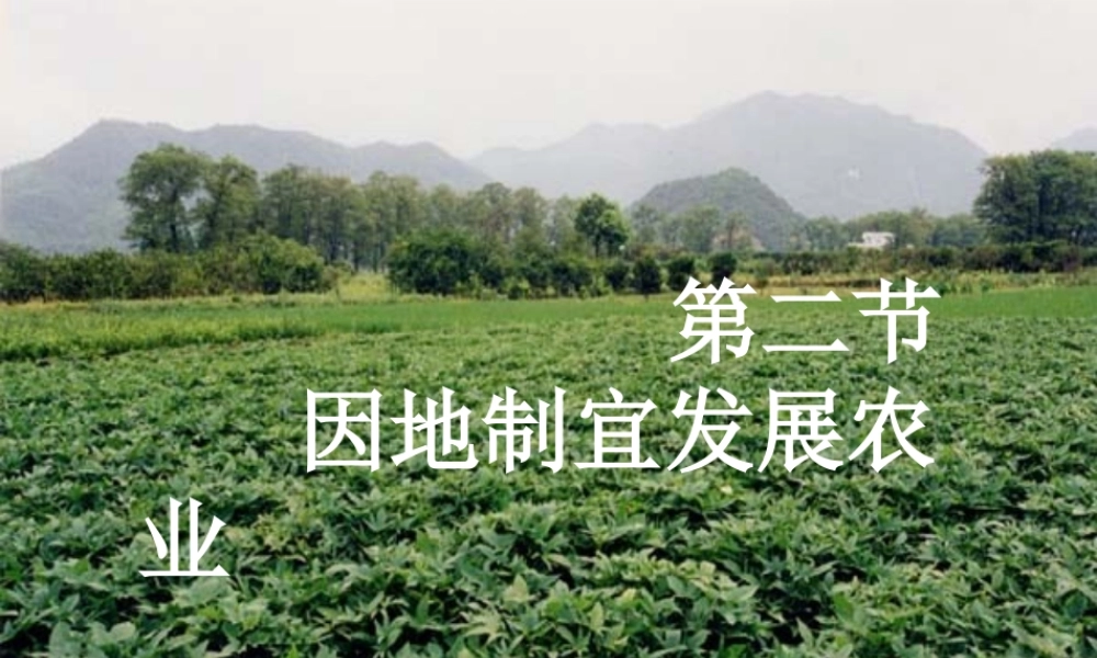 因地制宜公开课课件