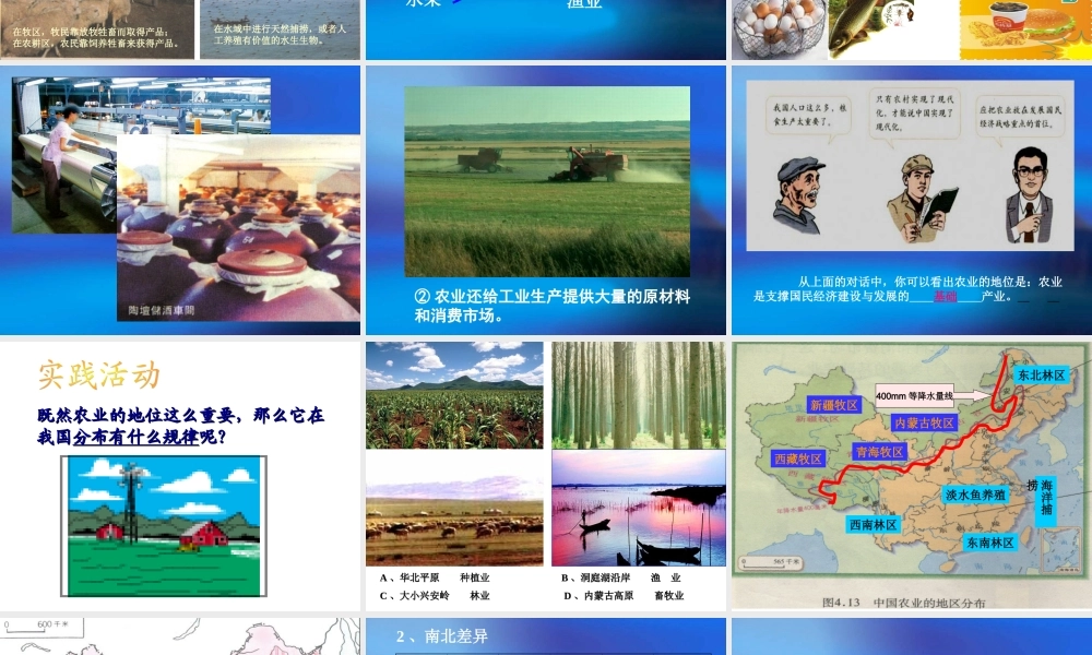 因地制宜公开课课件