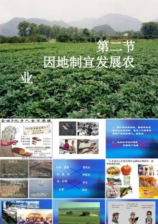 因地制宜公开课课件