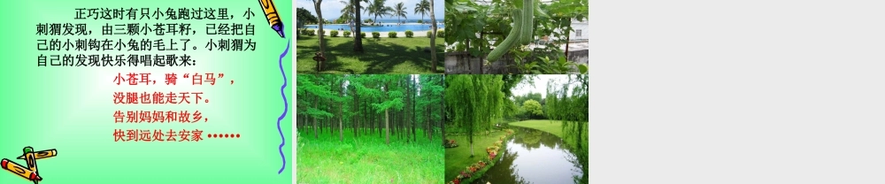 《骑白马的苍耳》课件