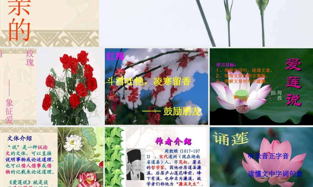 宋明光爱莲说_课件