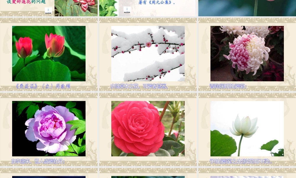 宋明光爱莲说_课件