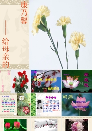 宋明光爱莲说_课件