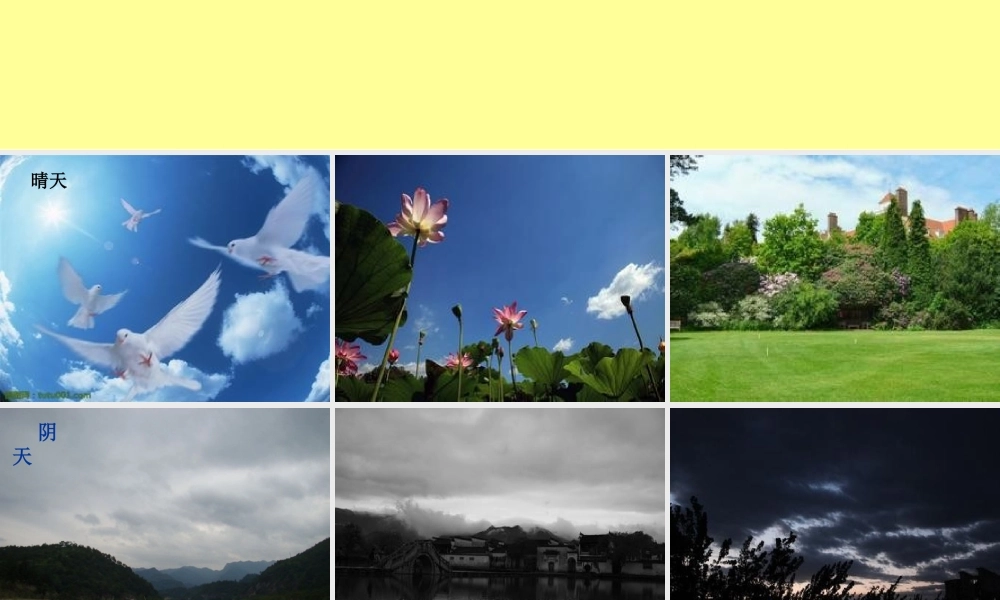 多姿多彩的天气1