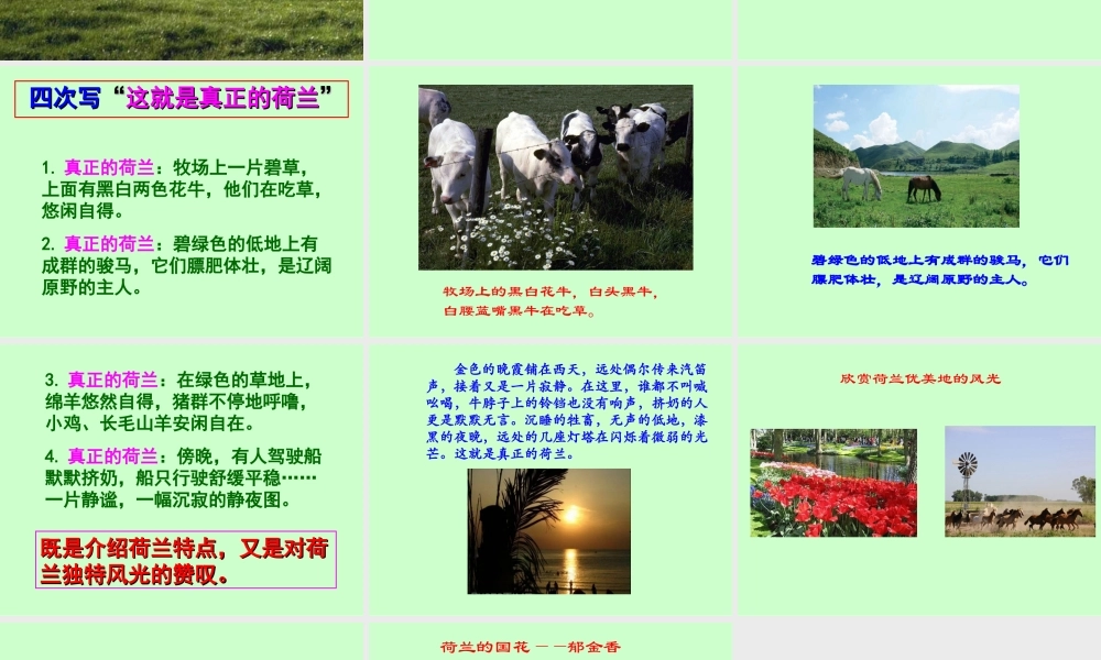 人教新课标四年级语文下册《牧场之国》PPT课件