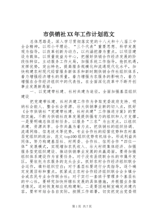 市供销社XX年工作计划范文