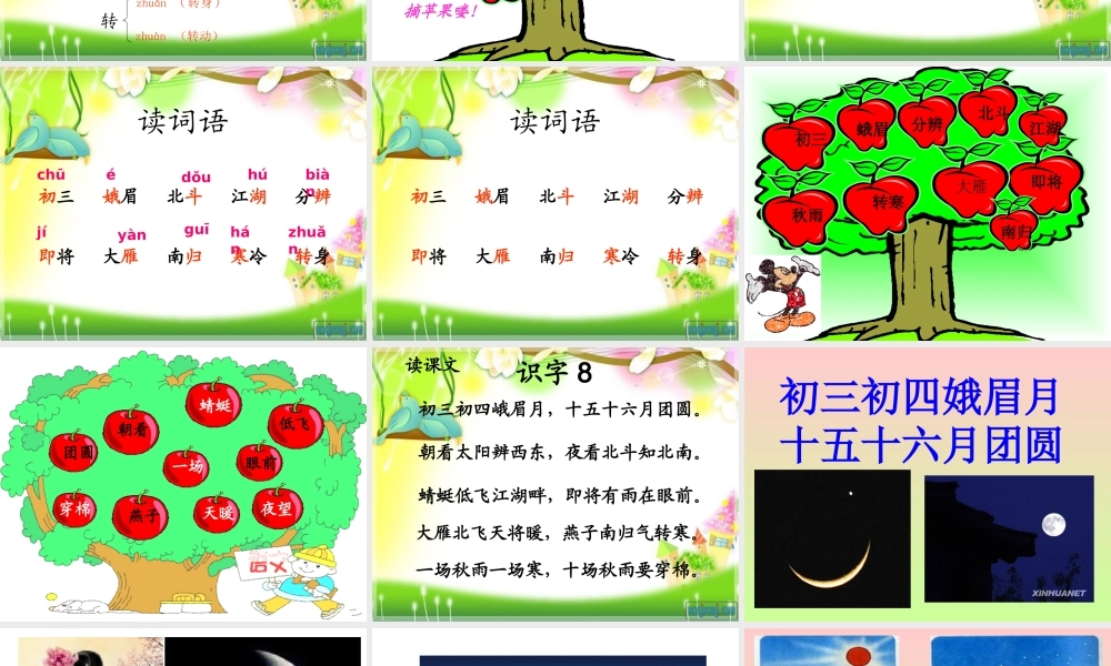 一年级下册《识字八》PPT