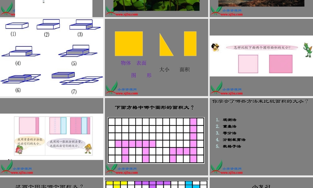 北师大版数学三年级下册《什么是面积》PPT课件之八