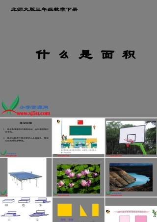 北师大版数学三年级下册《什么是面积》PPT课件之八