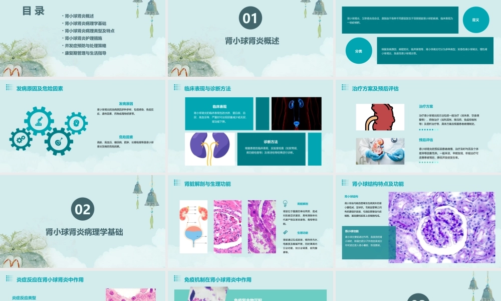 泌尿系统病理学之肾小球肾炎病理护理课件