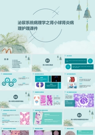 泌尿系统病理学之肾小球肾炎病理护理课件