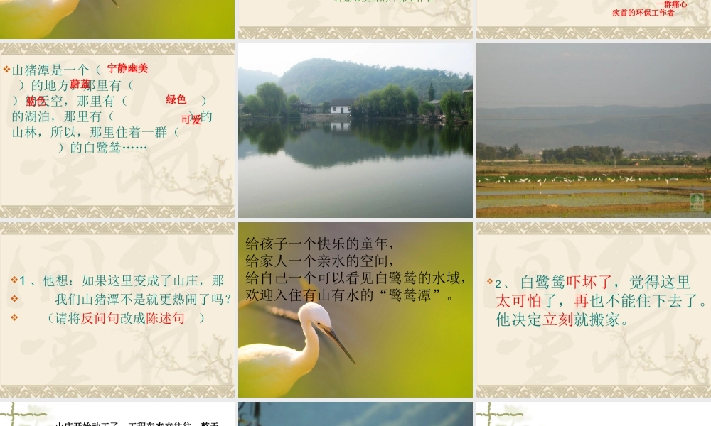 最后一只白鹭鸶课件