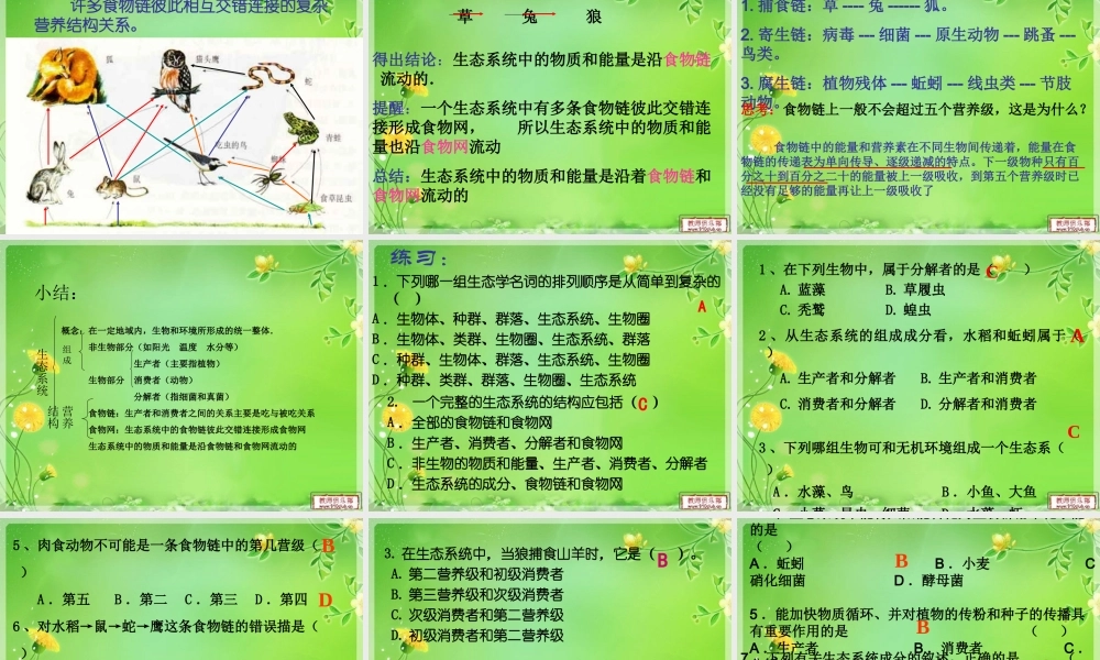 必修三51生态系统的结构