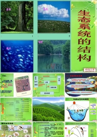 必修三51生态系统的结构